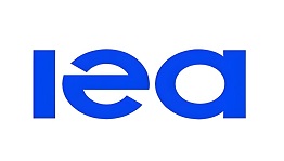 核聚变中心王敏副主任率团出席国际能源署聚变   项目协调委员会2025年度会议