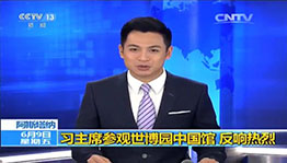 习主席参观世博园中国馆 反响热烈